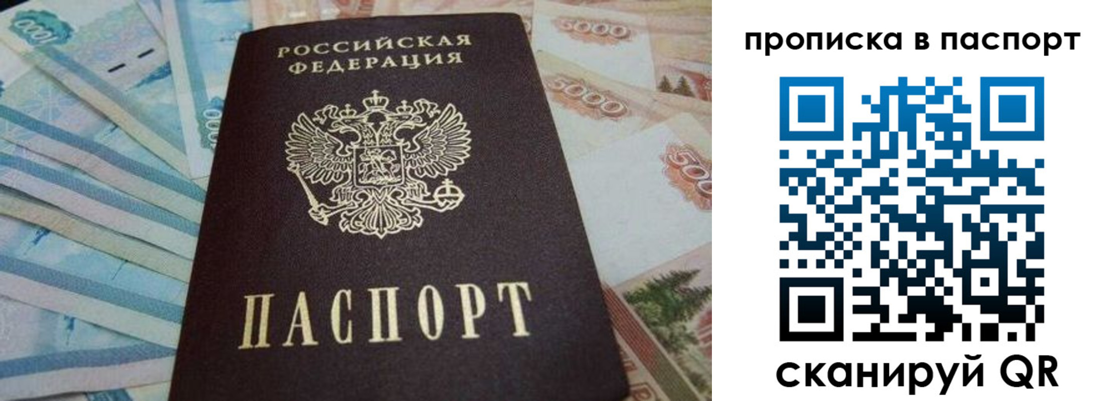 временная регистрация законно в Опочке